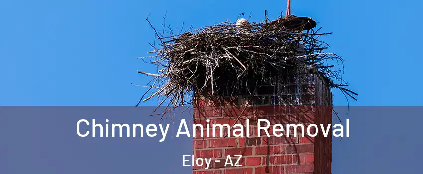  Chimney Animal Removal Eloy - AZ