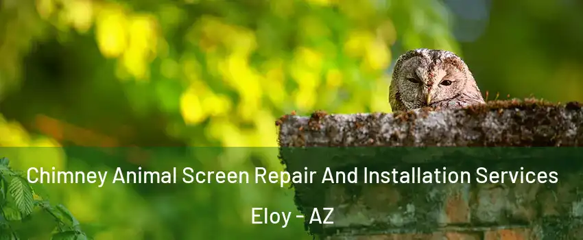  Chimney Animal Screen Repair And Installation Services Eloy - AZ