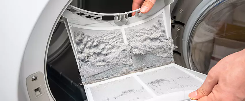Best Dryer Lint Removal Company in Eloy, Arizona