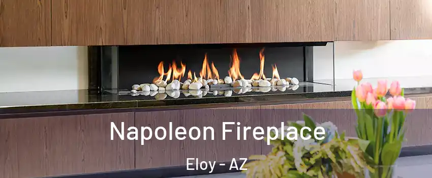  Napoleon Fireplace Eloy - AZ